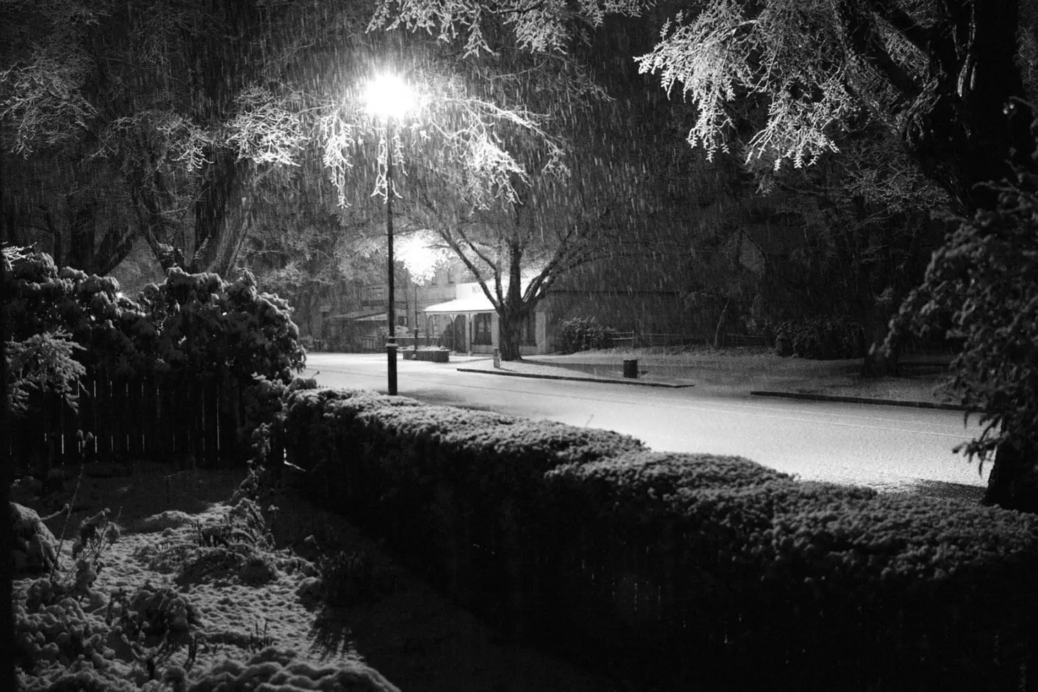 Marcus Rodrigue Band White snowfallat Ross