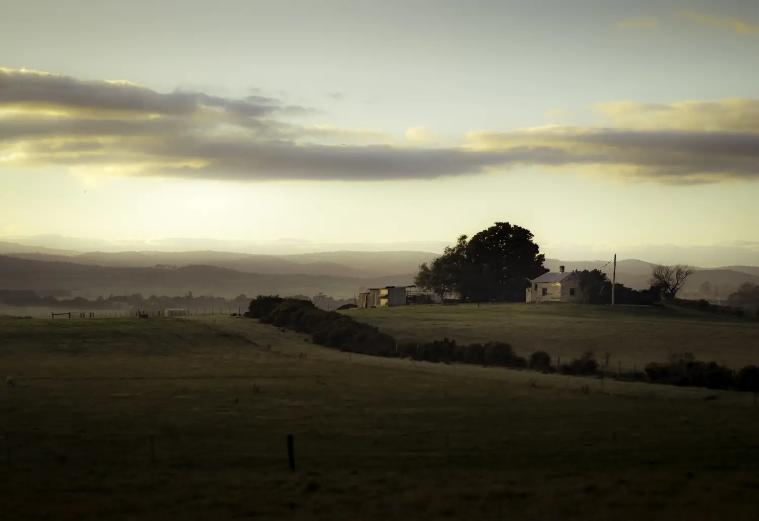 Rebecca Gibson backroads of Evandale and Longford