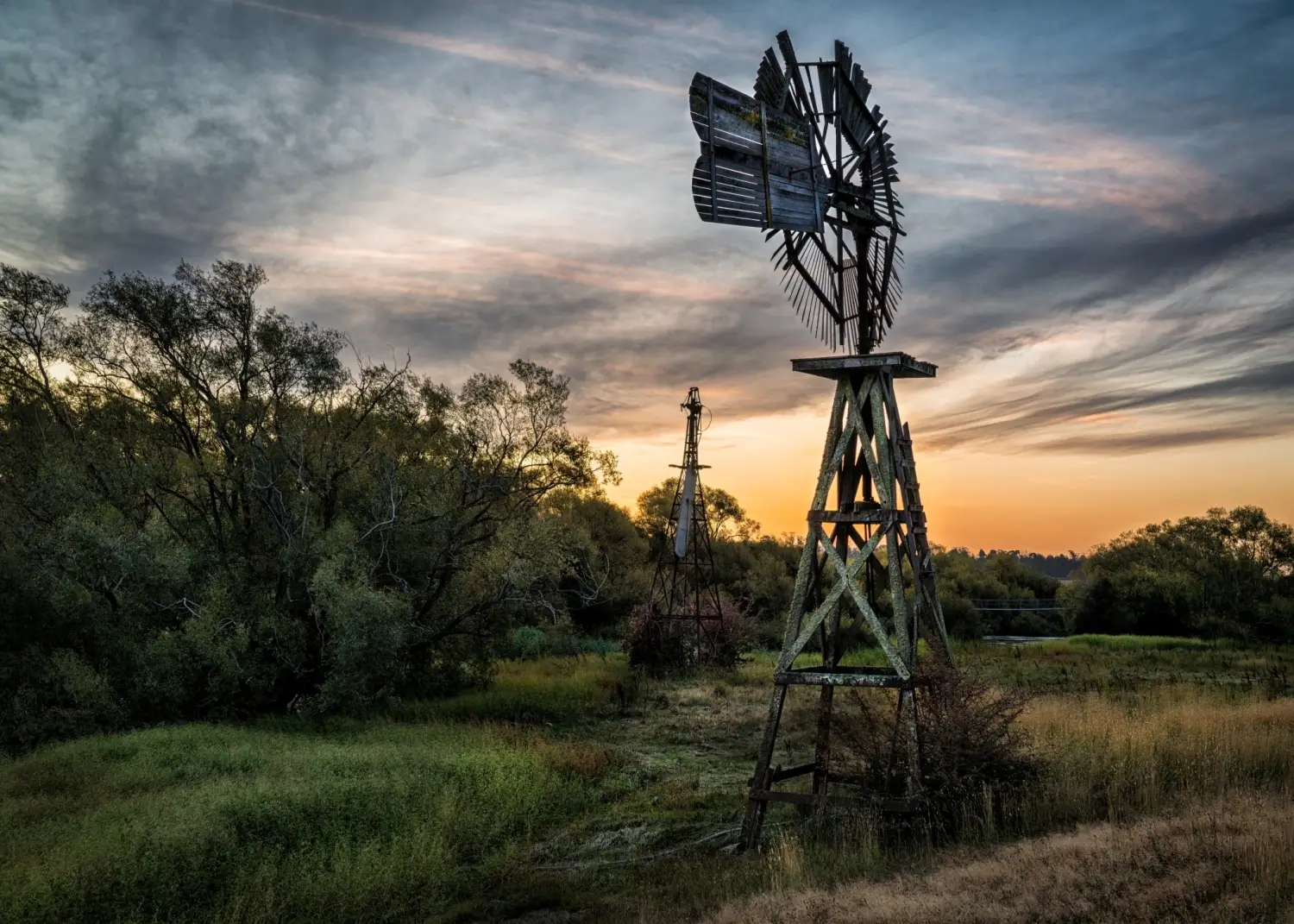 Fiona Carter Woolmers Windmill Sunset