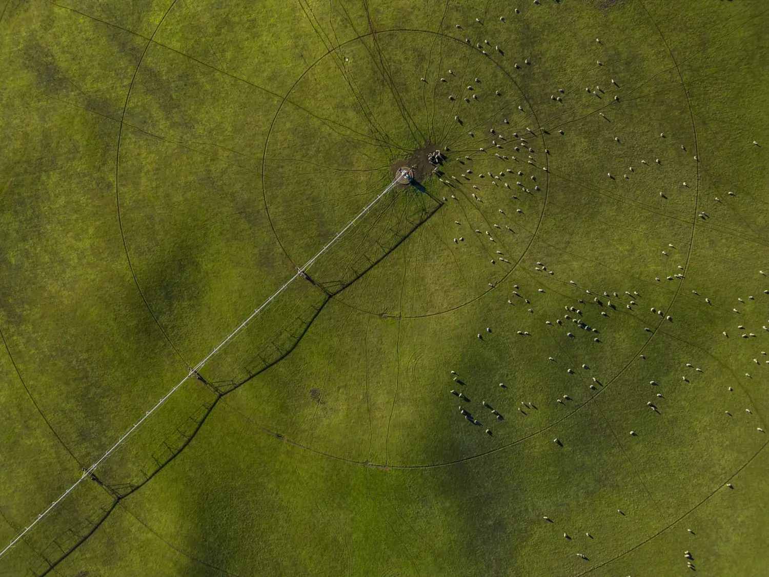 Jacob Tierney pivot undulationstaken on valleyfiedroad