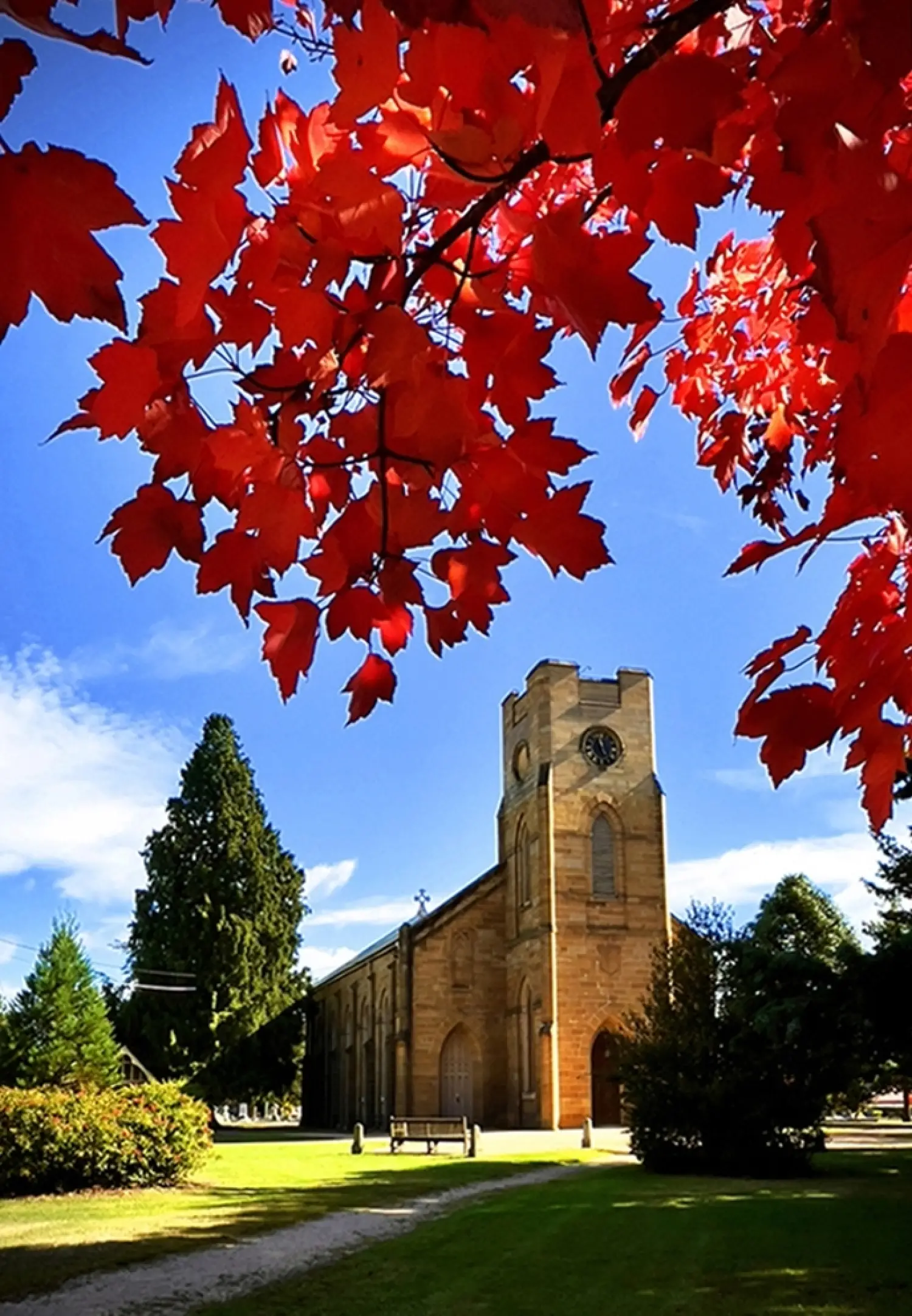Roy Tan Church in Autumn