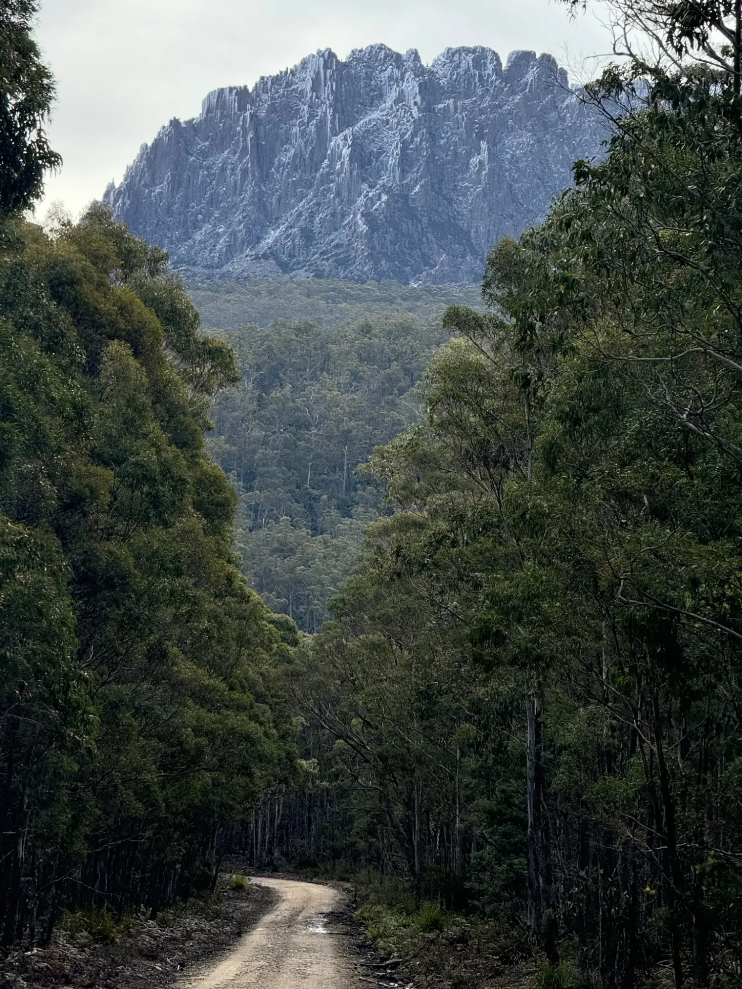 Isacc Chapman Stacks Bluff