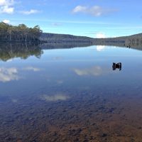 Lake Leake