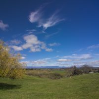 Landscape Longford Area