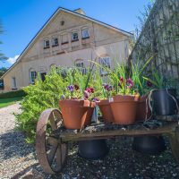 Outbuilding Flower Cart