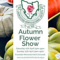 Autum Flower Show. Evandale