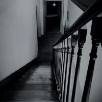 Into the Dark at Clarendon