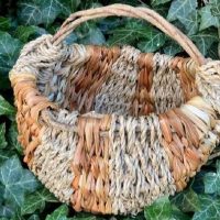 Melon basket workshop. Ross