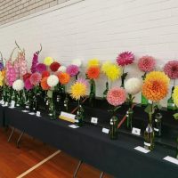 Spring Flower Show
