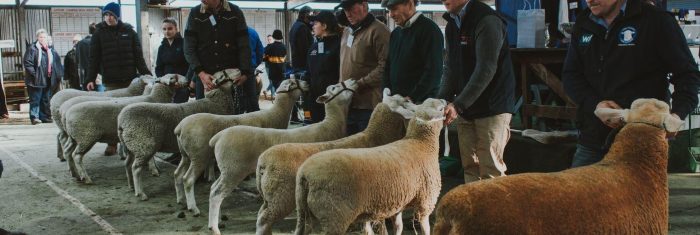 Campbell Town Show 29 - 30th May 2026