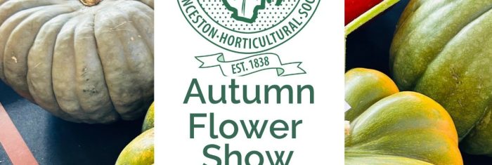 Autum Flower Show. Evandale