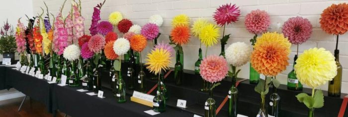 Spring Flower Show