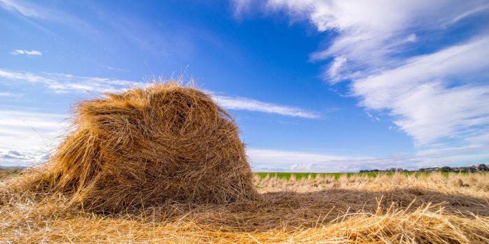 Hay Bale Landscape