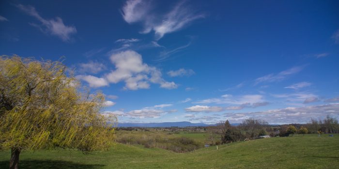 Landscape Longford Area
