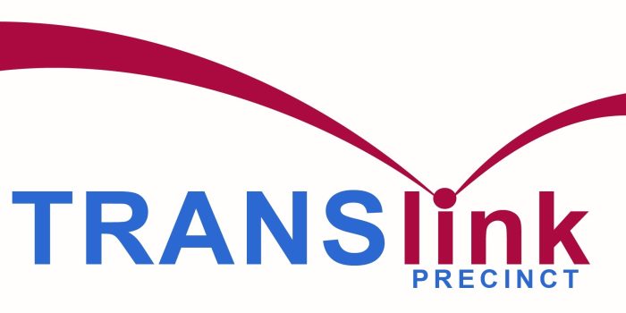 Translink logo shaped background cropped 2